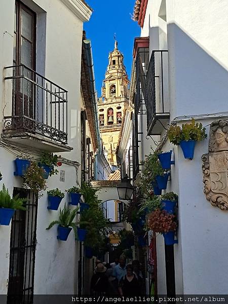 Calleja de las Flores百花巷