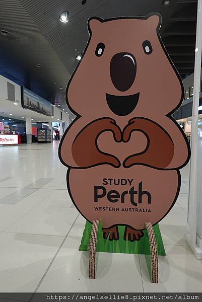 澳洲珀斯 Perth 往返機場與市區交通