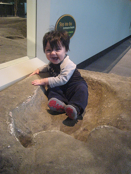 IMG_2087.JPG IMG_2087.JPG