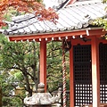 20081025_jp京都清水寺-07.JPG