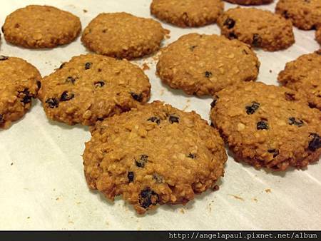 寬寬吃 停不了口的黑糖燕麥餅 寬寬媽寶生活誌 痞客邦