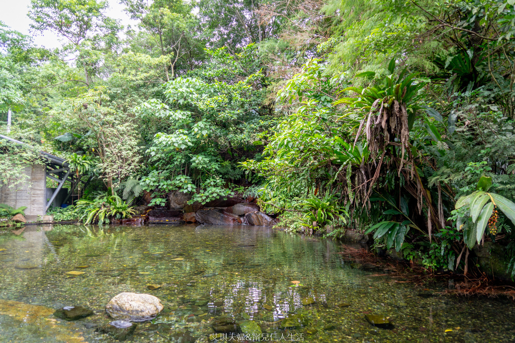 10.庭院-8戲水池.jpg