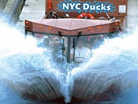 NYC Ducks B.jpg