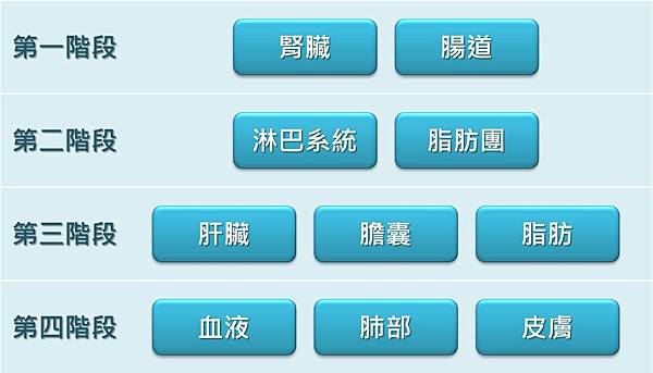 四階段排毒.jpg 四階段排毒.jpg