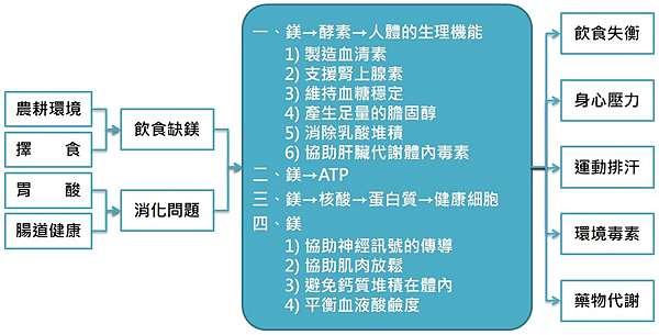 書摘 Carolyn Dean 鎂的奇蹟 有關鎂的重要性 Angelawu 痞客邦