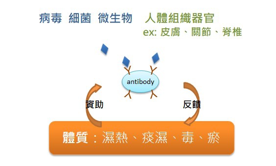 免疫系統.jpg