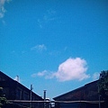 NO.113 <0526> Blue Sky