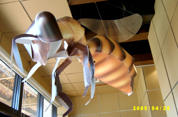 超級大的紙蜜蜂..非常有立體感