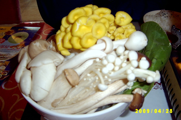 豐富的菇菇餐
