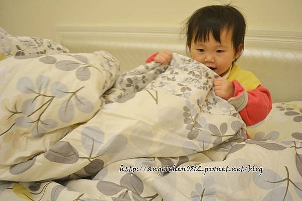 DSC_0948 DSC_0948