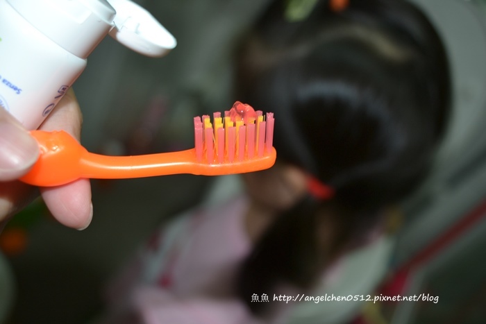 DSC_0973 試用