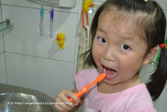 DSC_0976 試用
