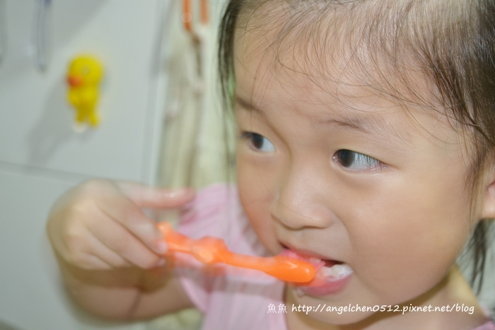 DSC_0979 試用