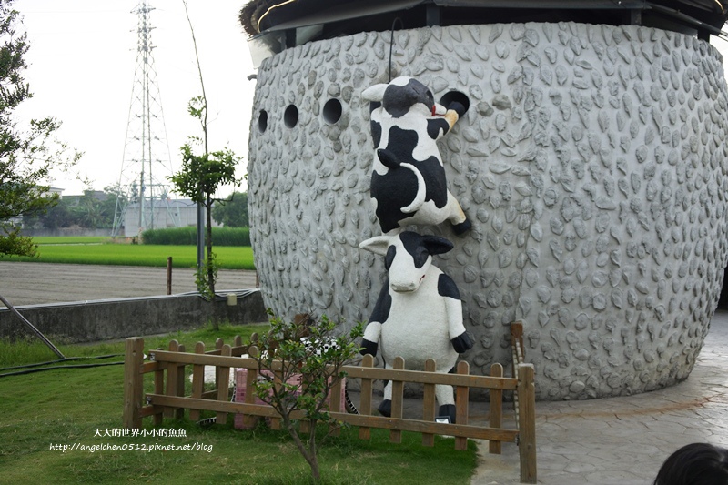 雲林崙背景點 親子旅行 千巧谷牛樂園牧場10