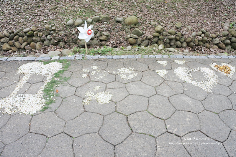 雲林景點 古坑景點  荷包桐花公園4