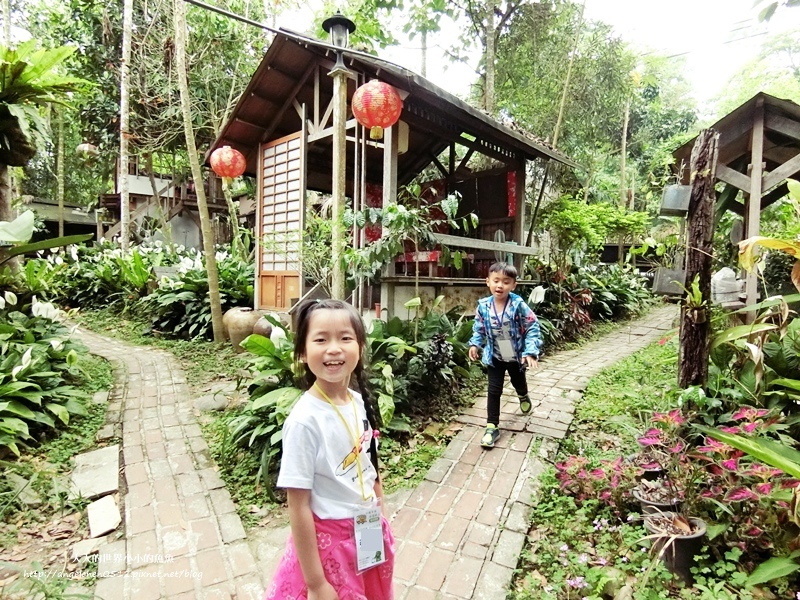 雲林景點 古坑景點 古坑祕境 竽芯園庭園咖啡  荷苞山竽芯園美食屋1