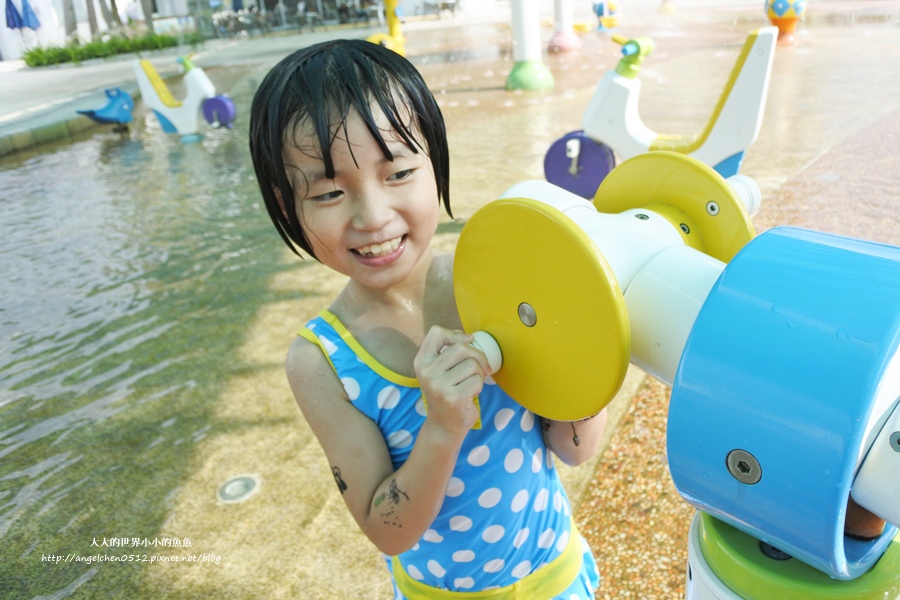 南投集集 DeJiJi親水童年 麻油悶鴨、超霸氣青花瓷鮮蚵粥、浪漫水舞 水南投集集一日遊套裝行程25