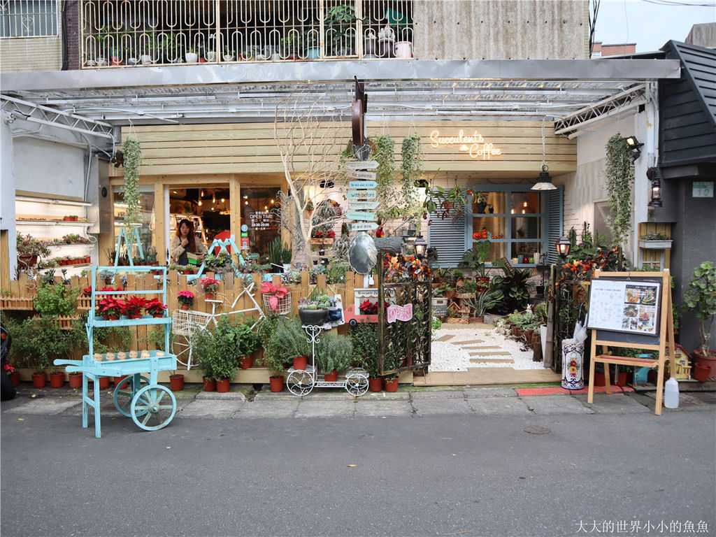 綠光花園 最療癒的植栽店144