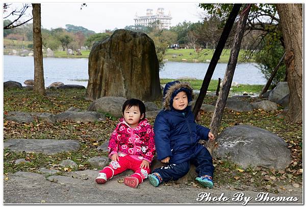 20150101 羅東運動公園(落羽松)_003.jpg