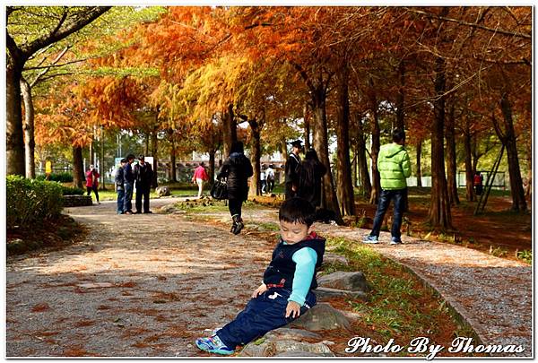 20150101 羅東運動公園(落羽松)_029.jpg