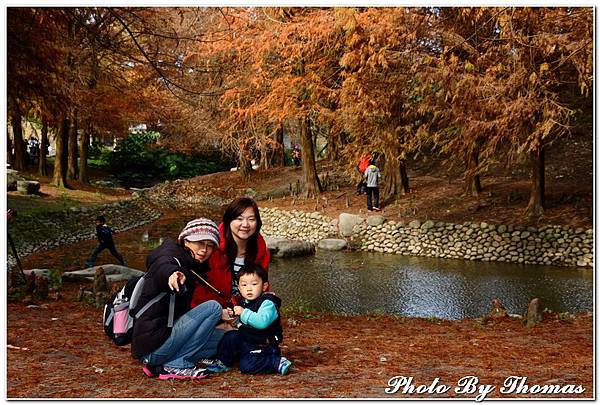 20150101 羅東運動公園(落羽松)_040.jpg