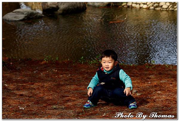 20150101 羅東運動公園(落羽松)_041.jpg