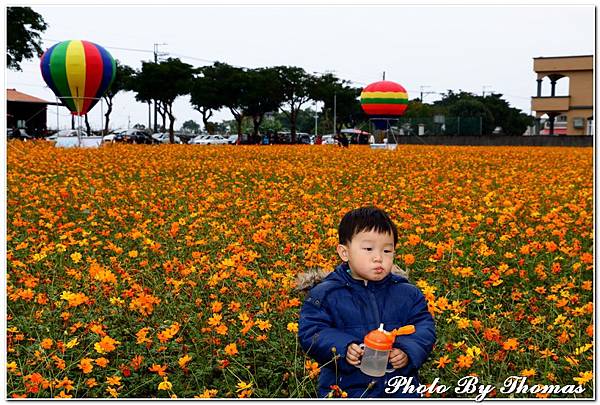 20150101 三星花海熱氣球_025.jpg