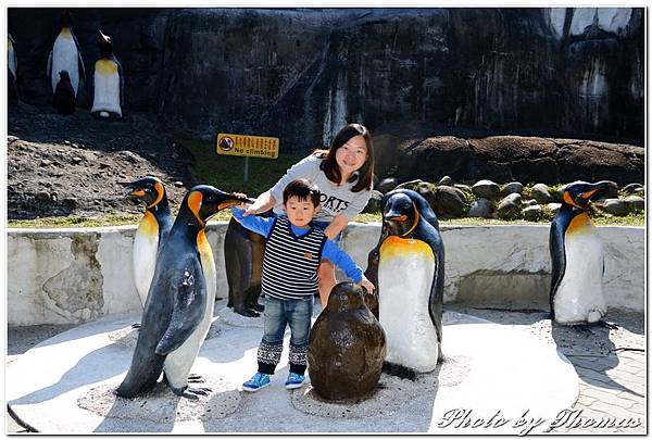 20160210 木柵動物園_005.jpg