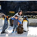 20160210 木柵動物園_005.jpg