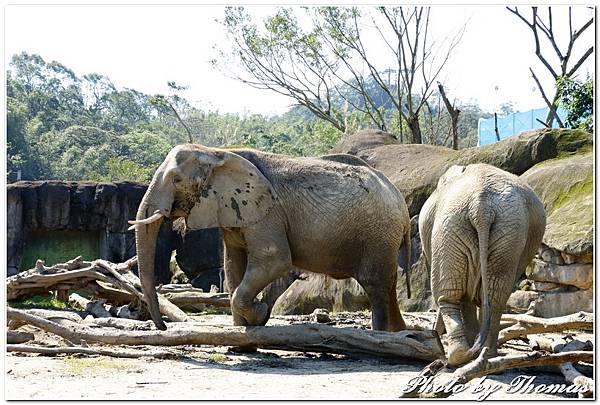 20160210 木柵動物園_018.jpg