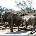 20160210 木柵動物園_020.jpg