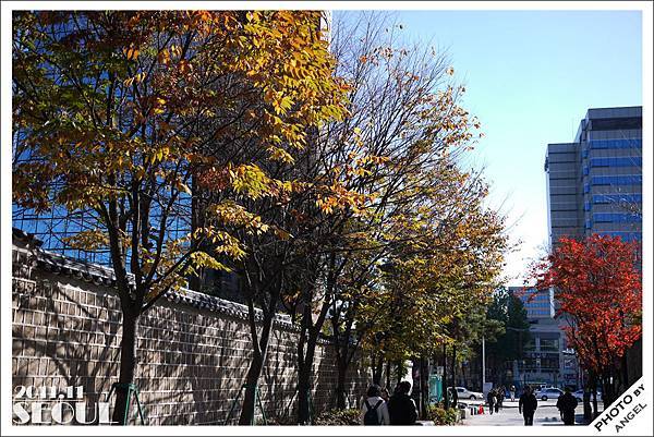 花開街街景