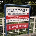 要到明石大橋坐到舞子公園就對了.jpg