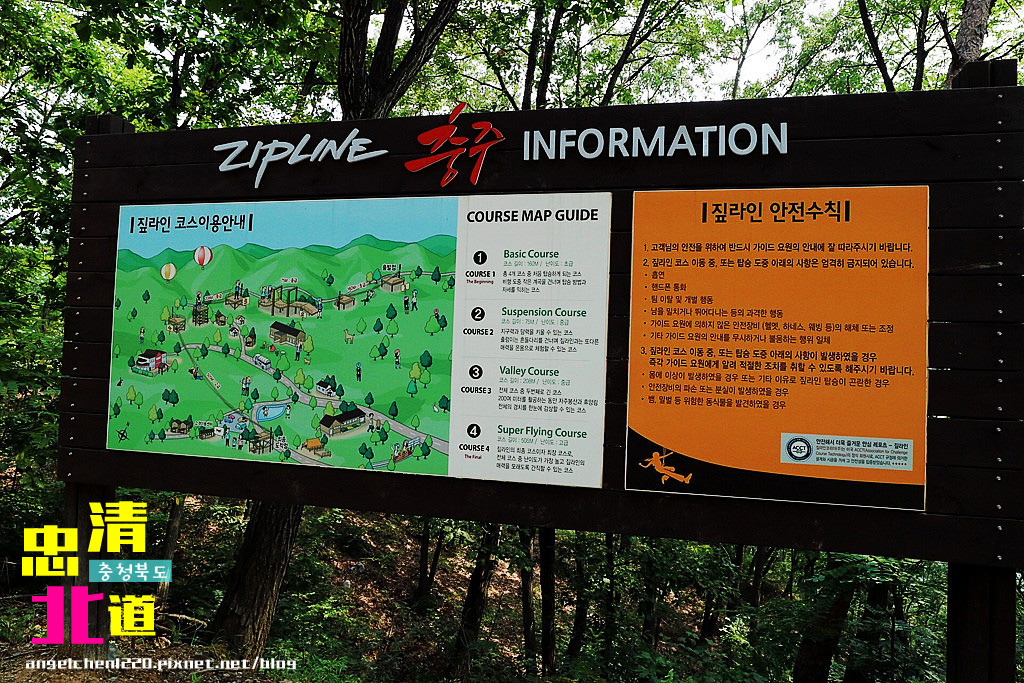 zipline-7.jpg