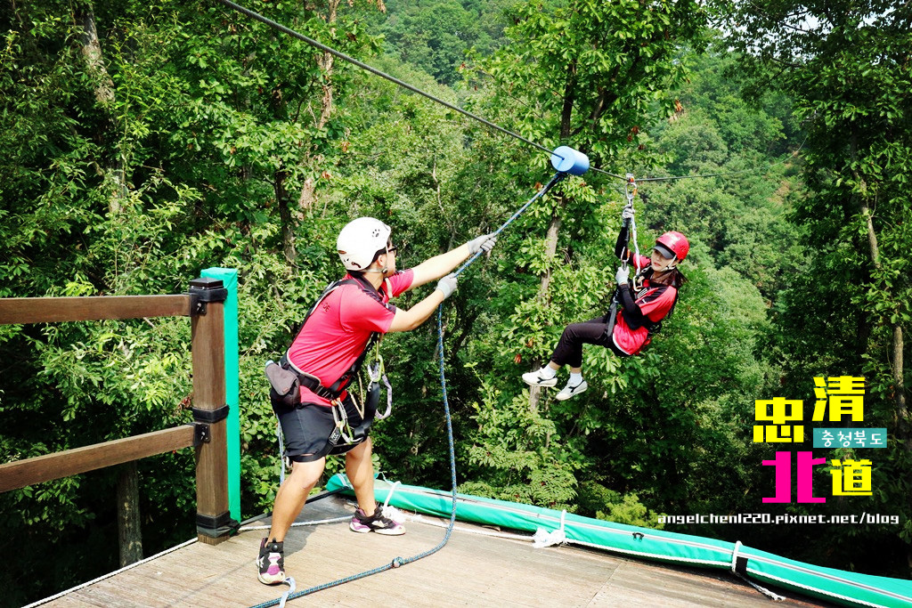 zipline-11.jpg