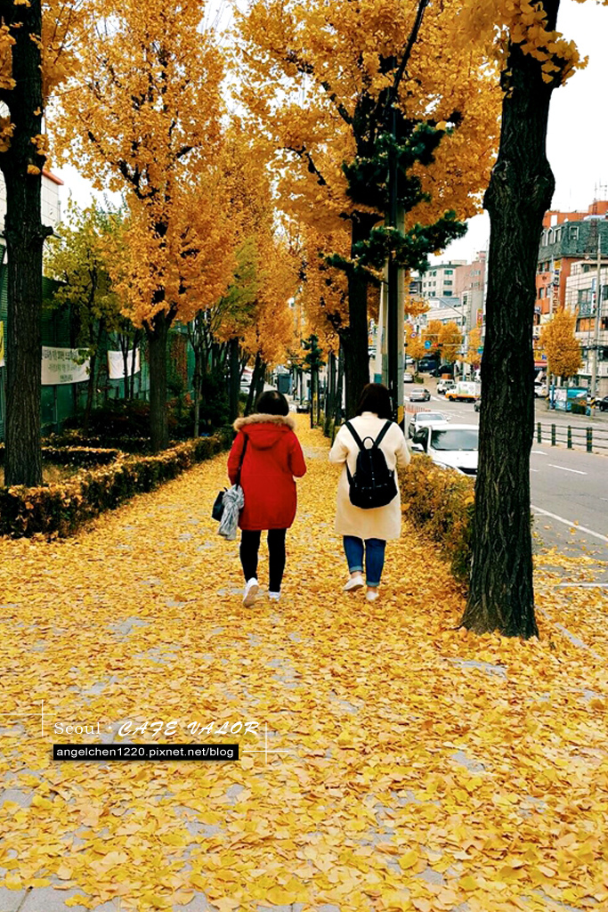 前往valor的路上.jpg 前往valor的路上.jpg