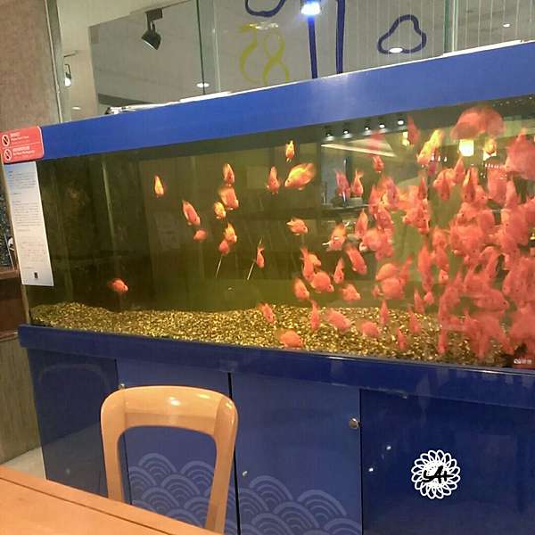 君鴻國際酒店39樓柏麗廳 高雄美食吃到飽 前身金典酒店 39樓柏麗廳 吃喝玩樂趴趴走 痞客邦
