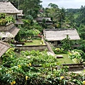 下午茶的風景