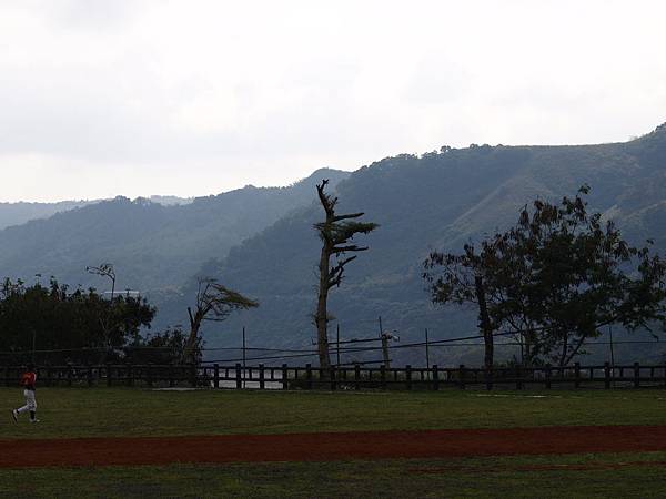 在高山上的棒球場