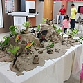 插植物仙女棒 (9).JPG