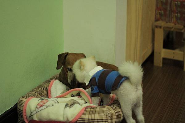 IMG_1211.JPG IMG_1211.JPG