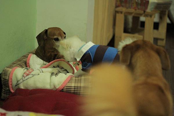 IMG_1215.JPG IMG_1215.JPG