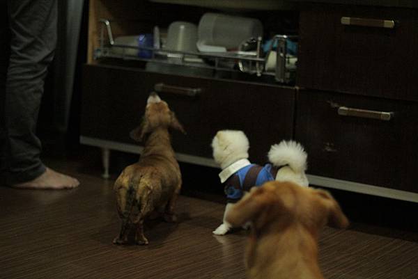 IMG_1240.JPG IMG_1240.JPG