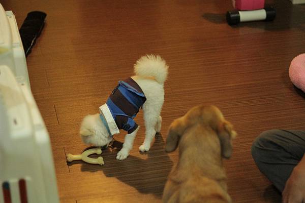 IMG_1247.JPG IMG_1247.JPG