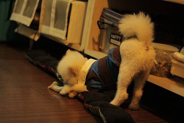 IMG_1254.JPG IMG_1254.JPG