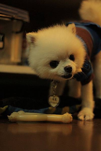 IMG_1256.JPG IMG_1256.JPG