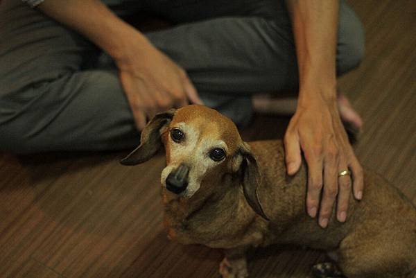 IMG_1257.JPG IMG_1257.JPG