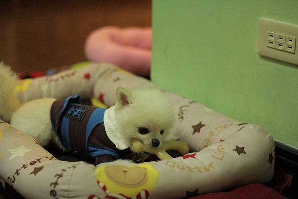 IMG_1259.JPG IMG_1259.JPG