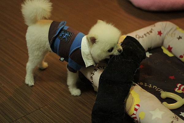 IMG_1270.JPG IMG_1270.JPG