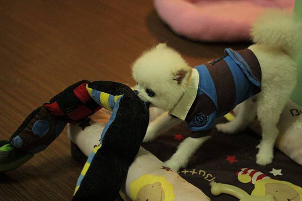 IMG_1271.JPG IMG_1271.JPG